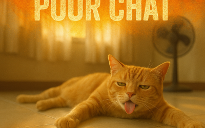 Home Pet Tapis rafraîchissant chat : le secret pour un été au frais !