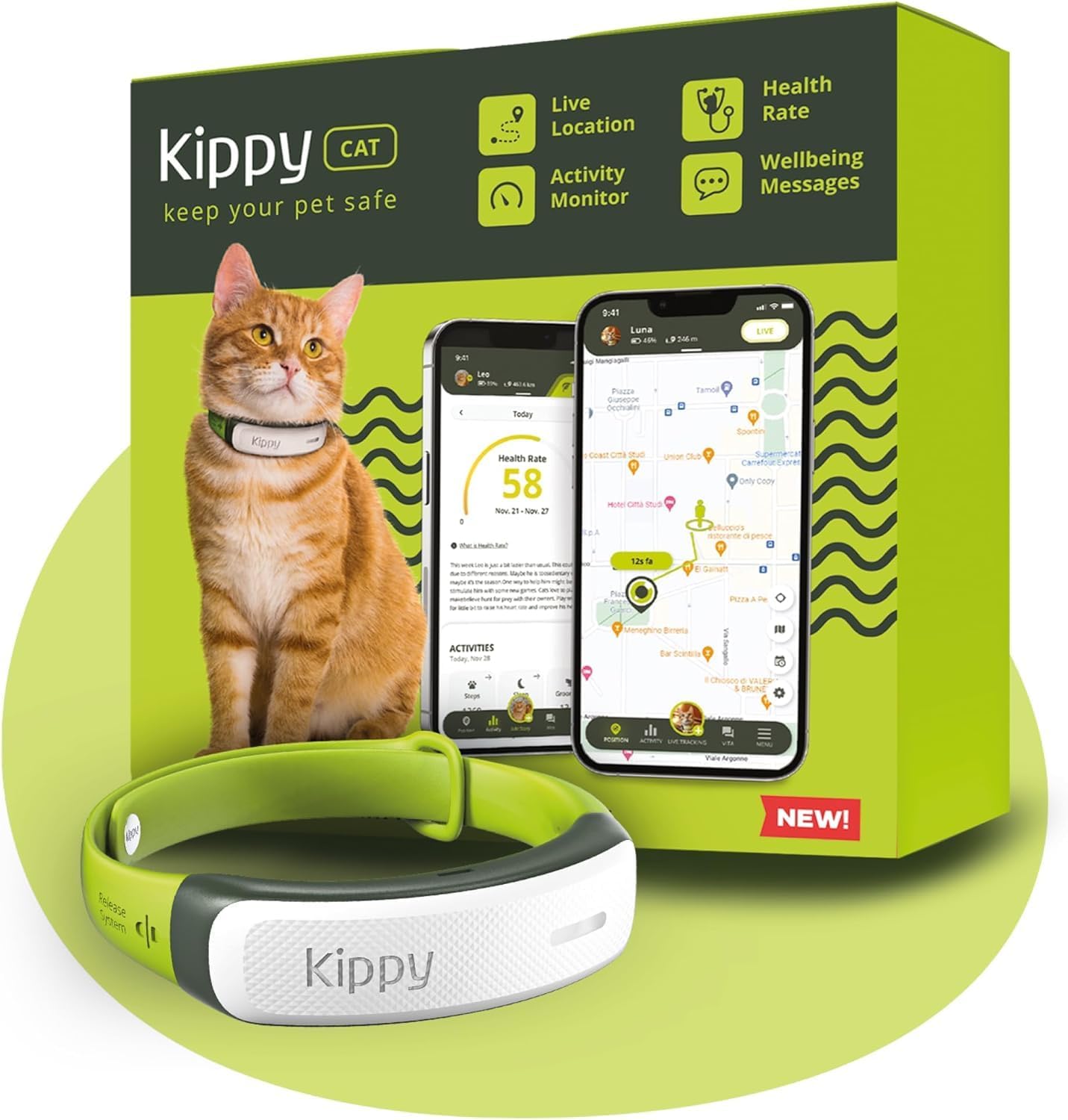 Filalapat : l’appli essentielle pour identifier ton chat KIPPY - Collier GPS pour Chats