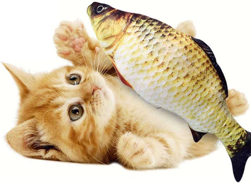 Doudou de Berlioz le chat