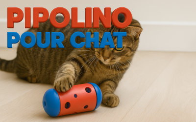 Home Pet Pipolino pour chat : avis, bienfaits et mode d’emploi