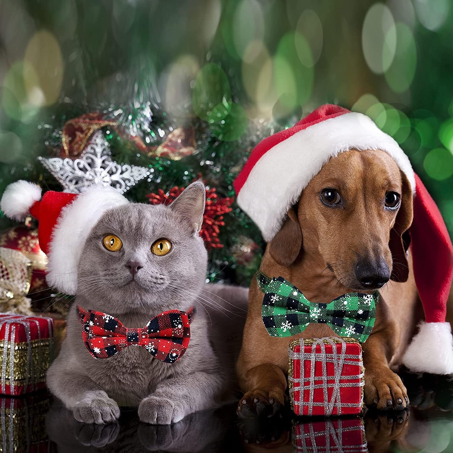 Colliers et bandanas de Noël pour chats