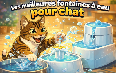 Home Pet Top 5 des Meilleures Fontaines à Eau pour Chat