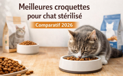 Home Pet Meilleures croquettes chat stérilisé 2026 : mon top 5